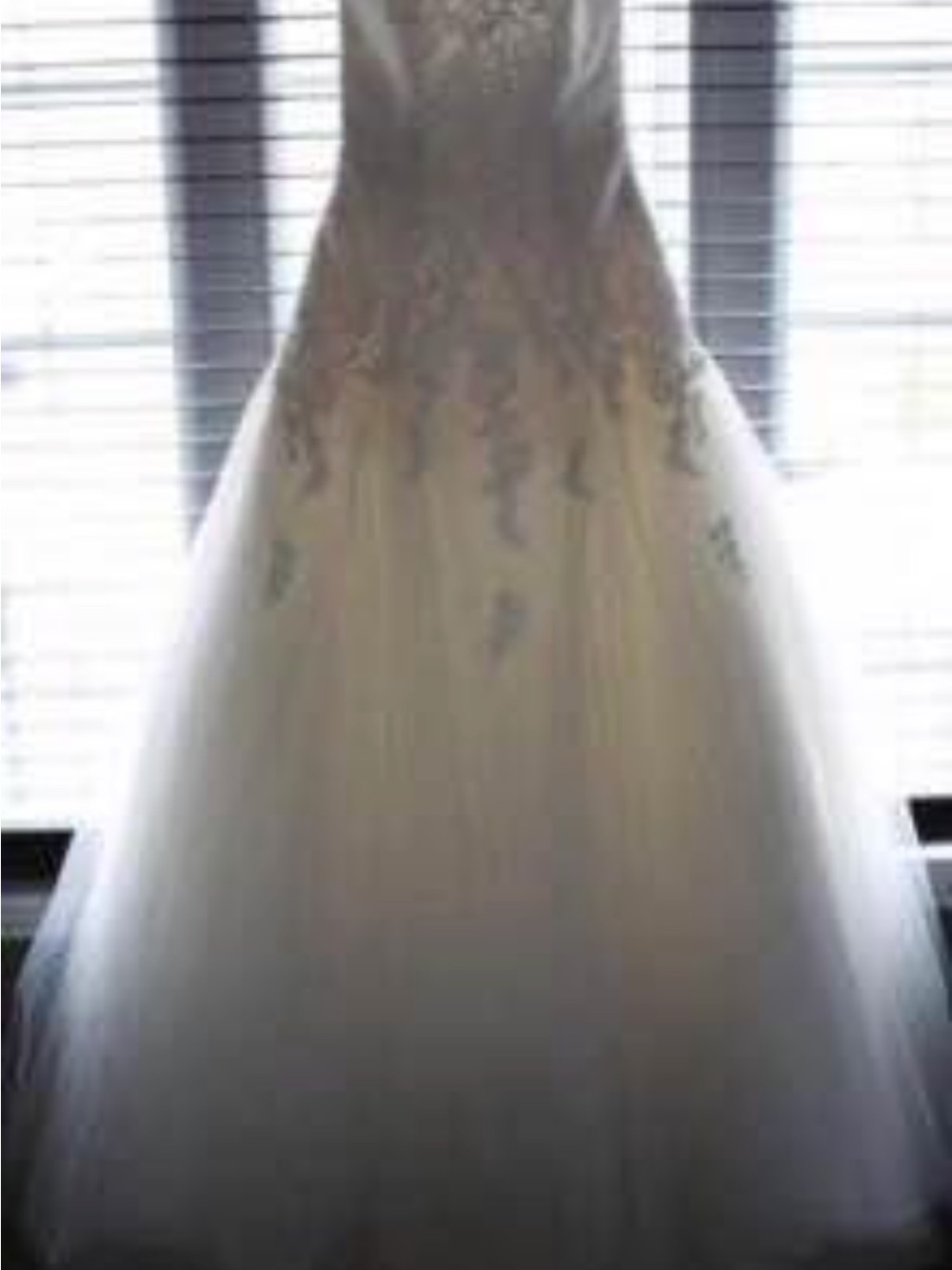 La Sposa Detalle Wedding Dress